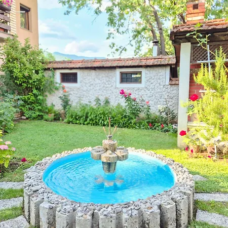Spago Oasis
